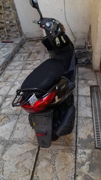 اكزز تريت • يابانية • اوراق بسميه