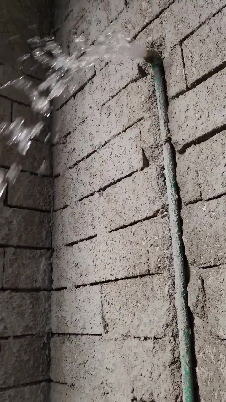 ***********
