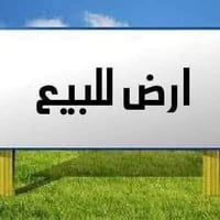 ام الكرفس • ١٥٠م • طابو ملك