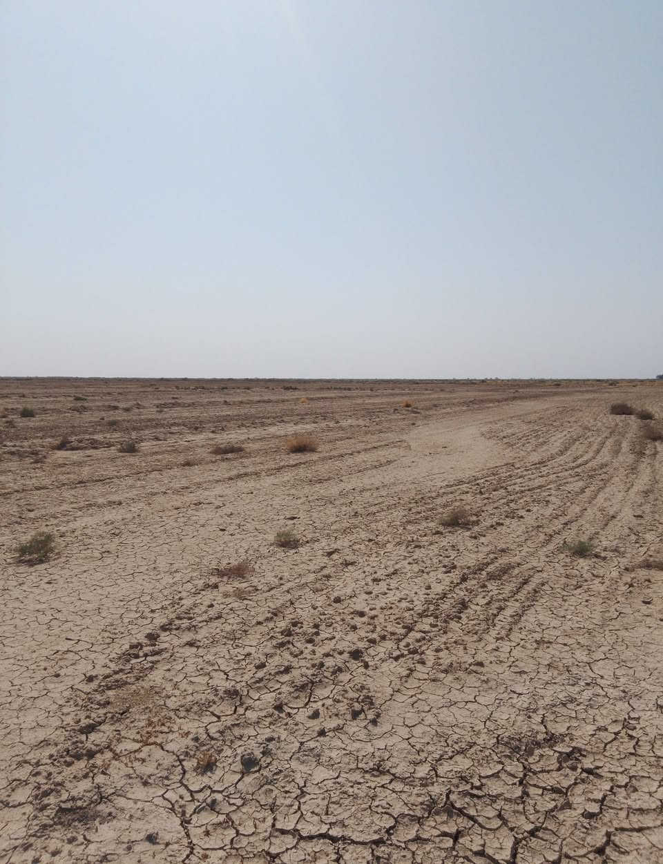 للبيع ارض زراعيه 100دونم هيه وبيته تبعد عن تبليط كيلو ونص كاع حته صبخه ما بيه وبيته جاهز مجهز المكان الدوايه كيلو 30 بطويله تبعد عنه المدرسه نص كيلو الاستفسار اكثر اتصل *********** #*********** سعر مناسب دونم 350
