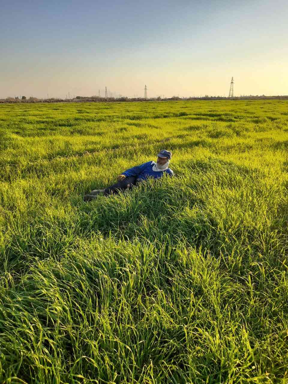 اكثر من عشر دوانم عقد ٣٥ للبيع على طريق النهروان بعد الجسر الفرنسي ب ٣ كيلو فقط تبعد عن الشارع العام كيلو .. الارض مباشرة على المشروع حاليا مزروعة شعير وقسم جت وقسم بونيكام ..


**إذا كنت صاحب هذا الإعلان وتريد حذفه لأي سبب، رجاءا أرسل رسالة إلى الدعم الفني**