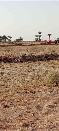 دوانم • علاكرمه السعداويه • ماي وكهرباء