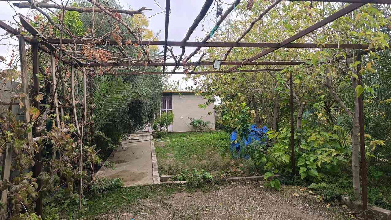 #_مزرعه للبيع 
مساحة الأرض دونم و400م  محدده بسياج من ثلاث جهات وفيها دار استراحه صغير ومسبح وغرف للحيوانات وتنور طابو زراعي25 مغروسه بأشجار زيتون على طول السياج وتين ومشمش وخوخ ونخيل و وقسم منها ارض غير مزروعه وتحتوي على بئر وكذالك أشجار رمان وبرتقال وليمون وقمرية عنب للاستفسار ‏‪0771 132 5172‬‏ او 
***********
السعر 45 مليون وقابل للتفاوض
