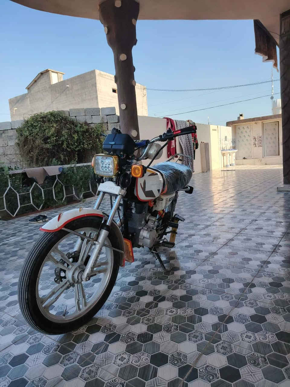 البيع سعر خاص
رقمي ***********
