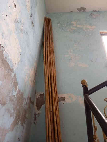 سلام عليكم خيزران البيع
طول 4 متر مكاني كوت 
العدد 50.    
 *********** بي وتساب
