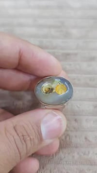 داودي السعر ٨٥ الف لايوجد توصيل 07750555898