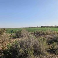 ارض زراعيه 60 دونم طابو سند ٢٥ مستقل حصه مائيه ع شارع عام تبعد عن مركز...