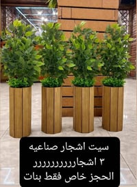 اشجار صناعيه • ٧٠ سم • بغداد الحريه