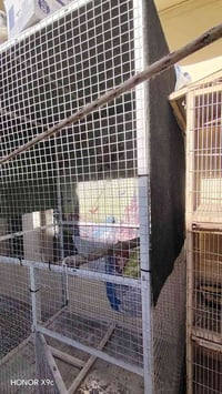 قفص حديد • مستعمل • ٢م×١٫٥م