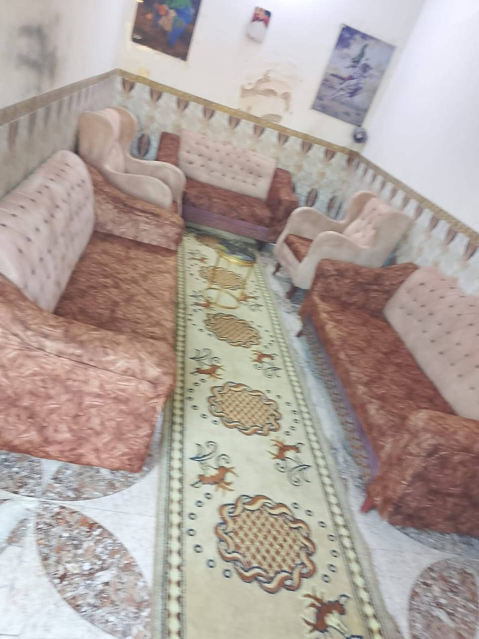 تخم 10 مقعد تزكام تركي
نضيف  جدن اي ضرر مابي
السعر 250لعنوان كربلاء احي امن الداخلي يوجد توصيل  ***********
