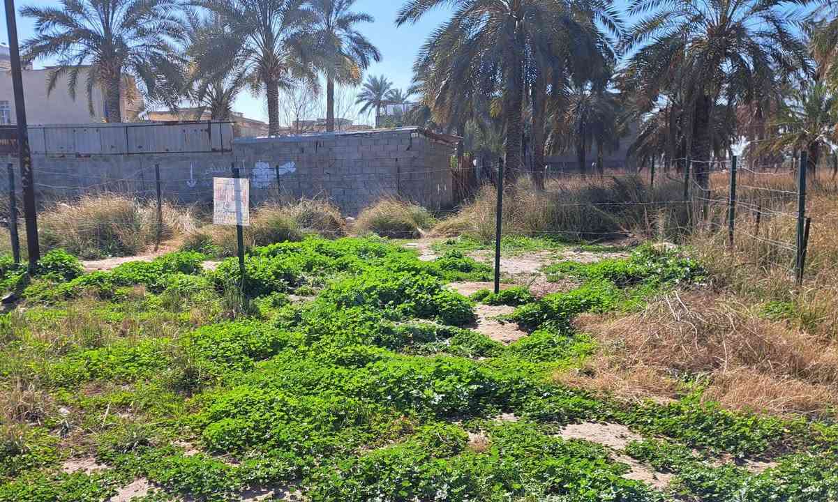 ٣٣٫٤٣٢٩١٨١، ٤٤٫٣٦٥٨٤٧٣
السلام عليكم قطعه ارض للبيع المساحه 100متر 
 10 × 10 مربعه* العنوان السريدات المربع الرابع   تبعد عن جزيره بغداد السياحيه(( 2 كيلو متر )) السعر  40 مليون بيهه مجال بسيط 
رقم الهاتف؛: ***********
