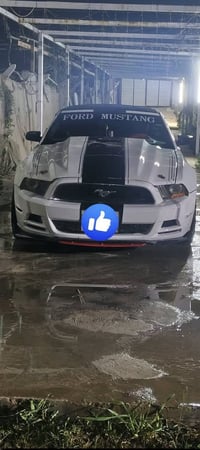 موستنج • ٢٠١٢ • مكفوله