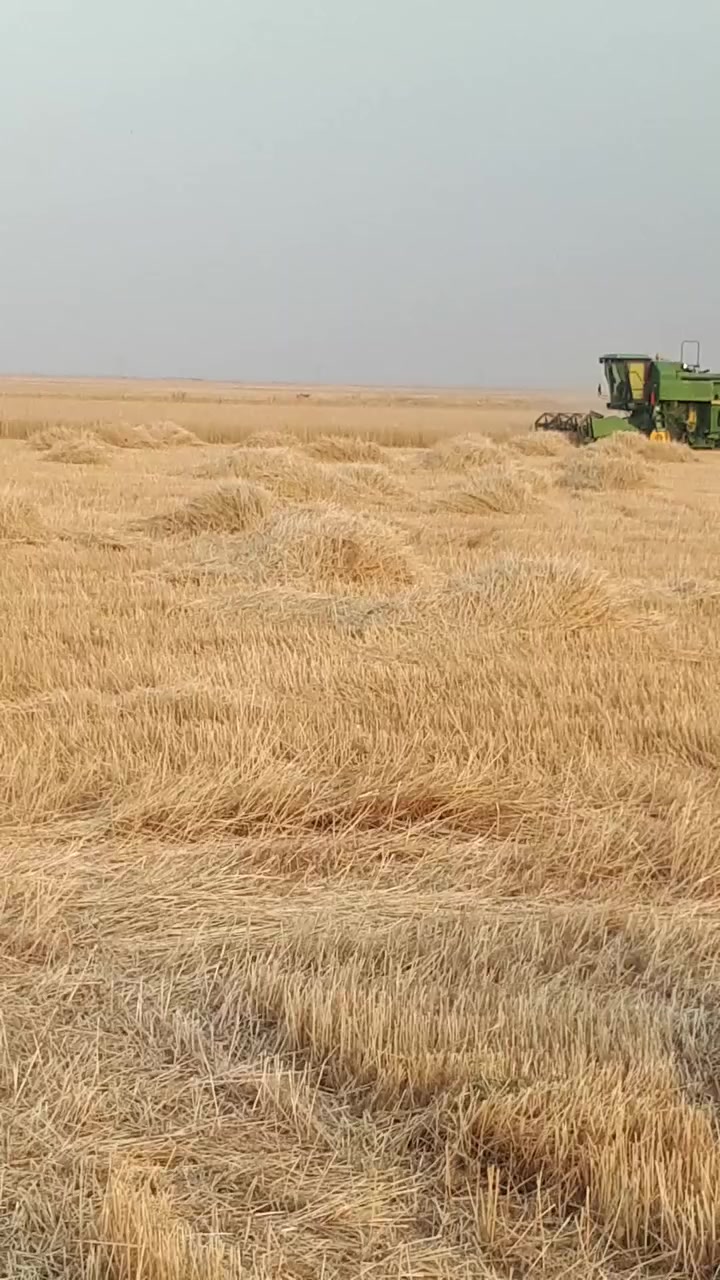 السلام عليكم
حاصوده للبيع 

موديل 92 

محرك سوبر 

طبله ١٢

للاستفسار الاتصال بهذا الرقم 

***********
