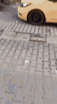 العنوان الاعظميه شارع ٢٠ إلا تصال ٠٧٧١٢٧٣٣٣٠٤