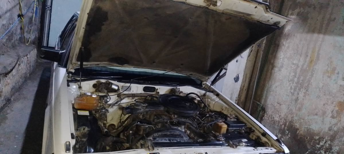 سلام عليكم  ٨٥ صبغ بلاد محرك بلاد  الكير محو  اتو مال سوبر مكينه بيه بخر بدون تنقيص رقم بغداد انكليزي بسمي  هزه جديه  مكانه بغداد  سعر ٤٤


**إذا كنت صاحب هذا الإعلان وتريد حذفه لأي سبب، رجاءا أرسل رسالة إلى الدعم الفني**