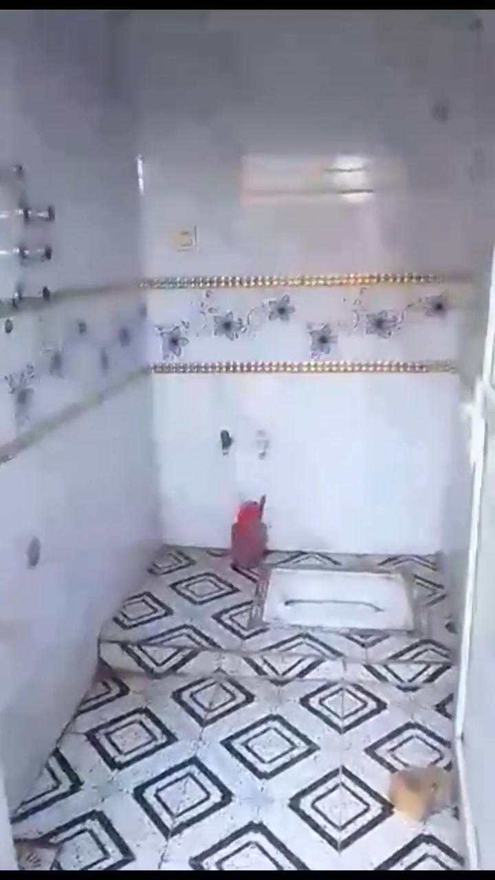 بيت طابو 150 متر بناء حديث طابوق صب كونكريت مقاطعه 26 الفداء نهاية شارع أبو لبنان السعر 135 مع المجال الاستفسار أكثر الرقم ***********
