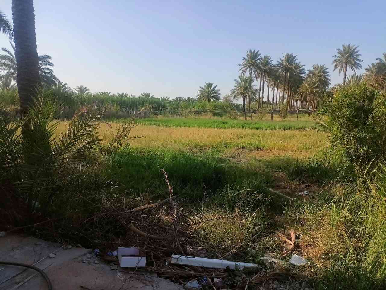دونم ونص مع دار م ٤٠٠متر طابو صرف زراعي خمس غرف نوم استقبال عدد ثنين هول حمامات ٣ +مخزن مطبخ
رقم الهاتف   
***********
دونم ونص مع دار م ٤٠٠متر طابو صرف زراعي خمس غرف نوم استقبال عدد ثنين هول حمامات ٣ +مخزن مطبخ 
بغداد شاعوره

