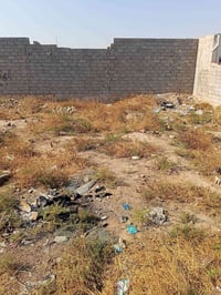 عندي قطعه أرض للبيع زراعي مساحتها 187 متر خدماتها كامله موقعها خلف اعد...