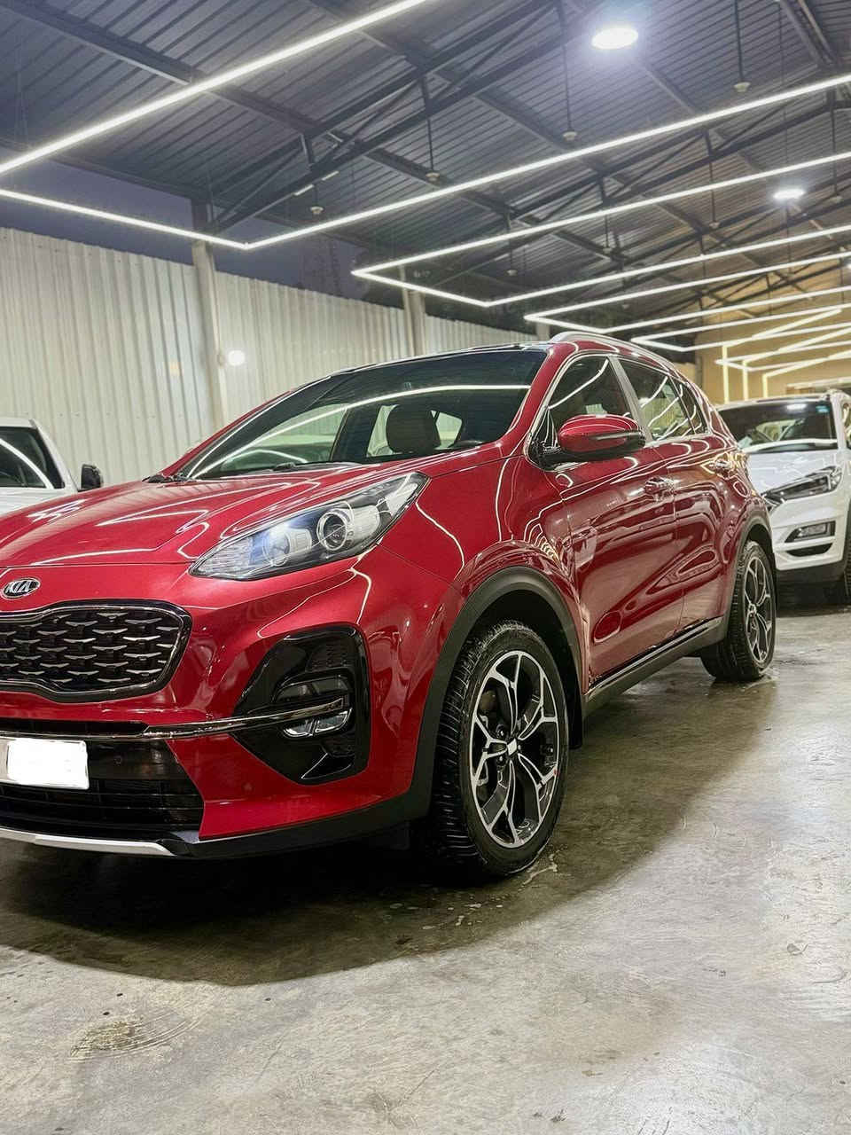 🚗 السلام علكيم للبيع او المراوس حسب 
القناعه   KIA SPORTAGE 2020 

رقم السيارة بغداد 
  🛣️  المسافة المقطوعة      -
63,000   الف كلم فقط 
------------------------------------------------------------ 
✅ المواصفات:   
✅ الموديل:2020
✅ الحالة: كفاله عامة من كلشي سيارة جداً جديدة وشرط المشي الحقيقي 
✅ المنشأ: وارد خليجي 
🔹 قطعتين تبريد
🔷 مانع انزلاق
🔷وضعيات القياده Dirve mod 
🔷 هند بريك بصمه
🔷 فتحه سقف سلايد روف بانروما 
🔷 داخل  بيجي حمصي 
🔷 اشاير بالمري
🔷 شاشه وسطيه تدعم car play
🔷 مثبت سرعه
🔷جنطه كهرباء 
🔷كراسي ثنين كهرباء  
🔷 باقي المواصفات معروفه
🟥 السياره GT line أعلى مواصفات السبورتج و مواصفات الGT line معروفه
📍 السيارة متوفرة في بغداد - الكريعات معرض تاج الملك مقابيل كلية القانون 
📞 للأستفسار الاتصال على الرقم 
***********

