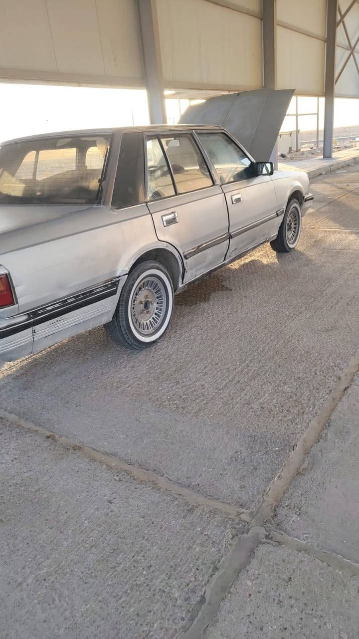 رقم الجديد بغداد تحويل ثاني يوم مكاني سوك الشيوخ *********** سياره جاهزه
