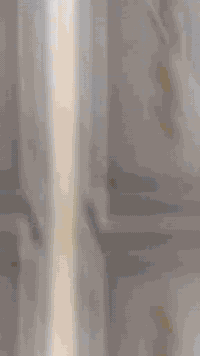 #السلام عليكم تنضيف وصبغ الابواب والشبابيك وتصليح وصبغ كافة الجدران والبيوت بأسعار مناسبة رقمي ‏‪***********‬‏ اتصل وتدلل أو واتساب متواجد
