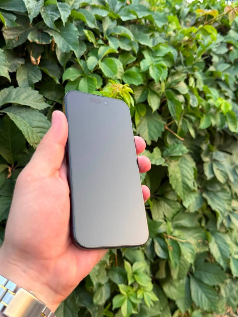 IPhone 15 pro
ZA/A
2 سیم
128 گێگا 
پاتری 87 بیلاد 
%95 خاوێن 
شاشەی تاڵە موو شوختی نیە 
بە زەمانی یەک هەفتە 

نرخی 565 $دۆلارو مەجال 
***********
واتساپ📞
