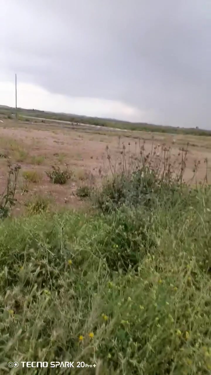 قطعه للبيع  (حي الشهداء)  خلف المعارض رقم القطعه 604 مساحه 250 
رقم هاتف ***********

