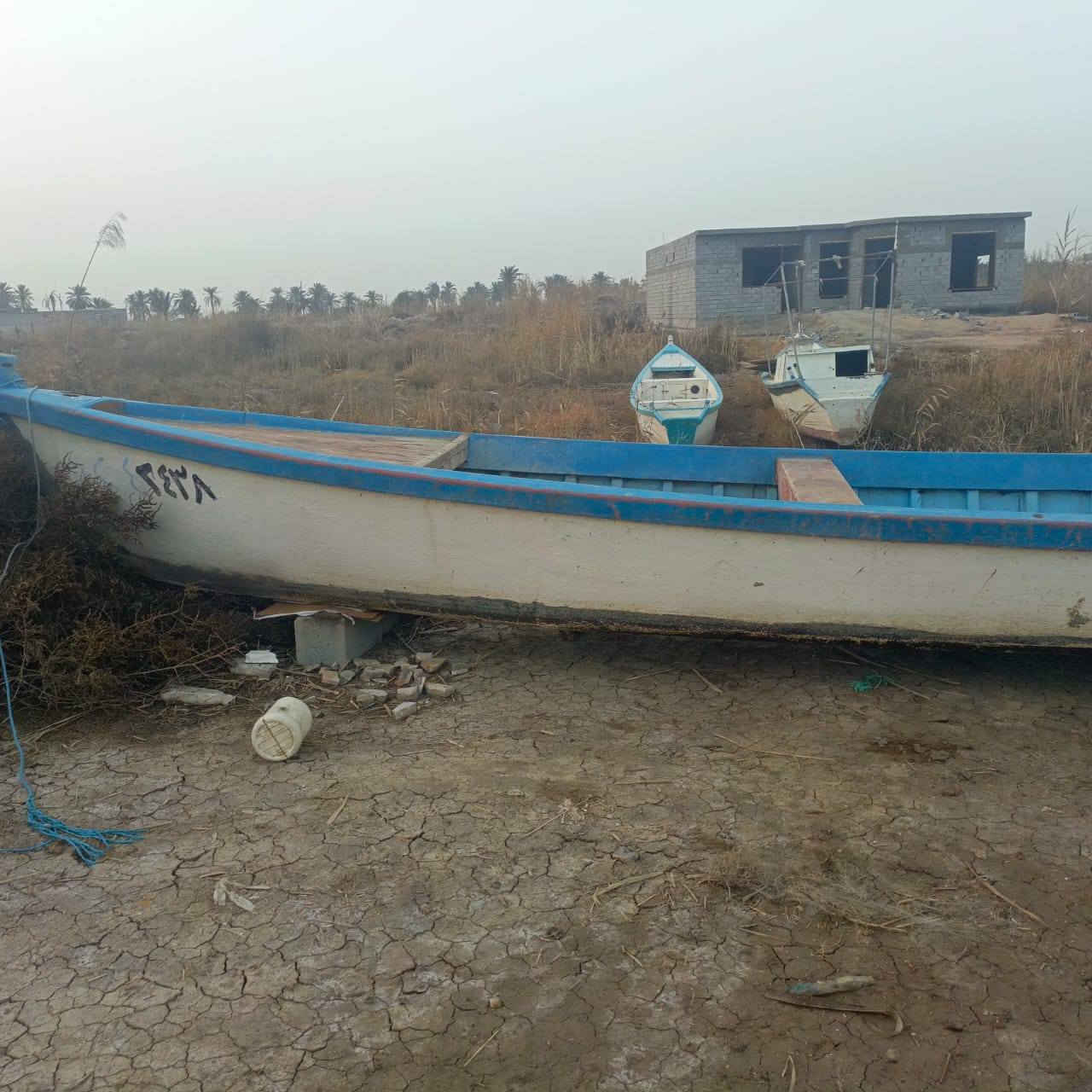 جينكوه 7ونص وشار نايف السعر 950الرقم***********
