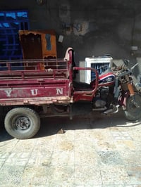 ستوته • دايوان • ٢٠١٩