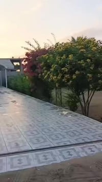 كربلاء الحسينية • ١٤٠٠م • اسهم بالسند