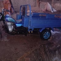 ستوتة فحل • موديل 21 • أوراق أصلية