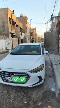 كورلا صفرة • ٢٠١٧ • اربيل