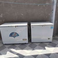 تجميد فول وحده حجم كبير وحدة حجم صغير سعرهن 300 اثنينهن 07817442022