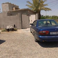 ٢٠٠٤ • مصبوغة • حزام زين