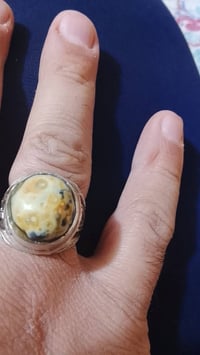 داودي • قديم