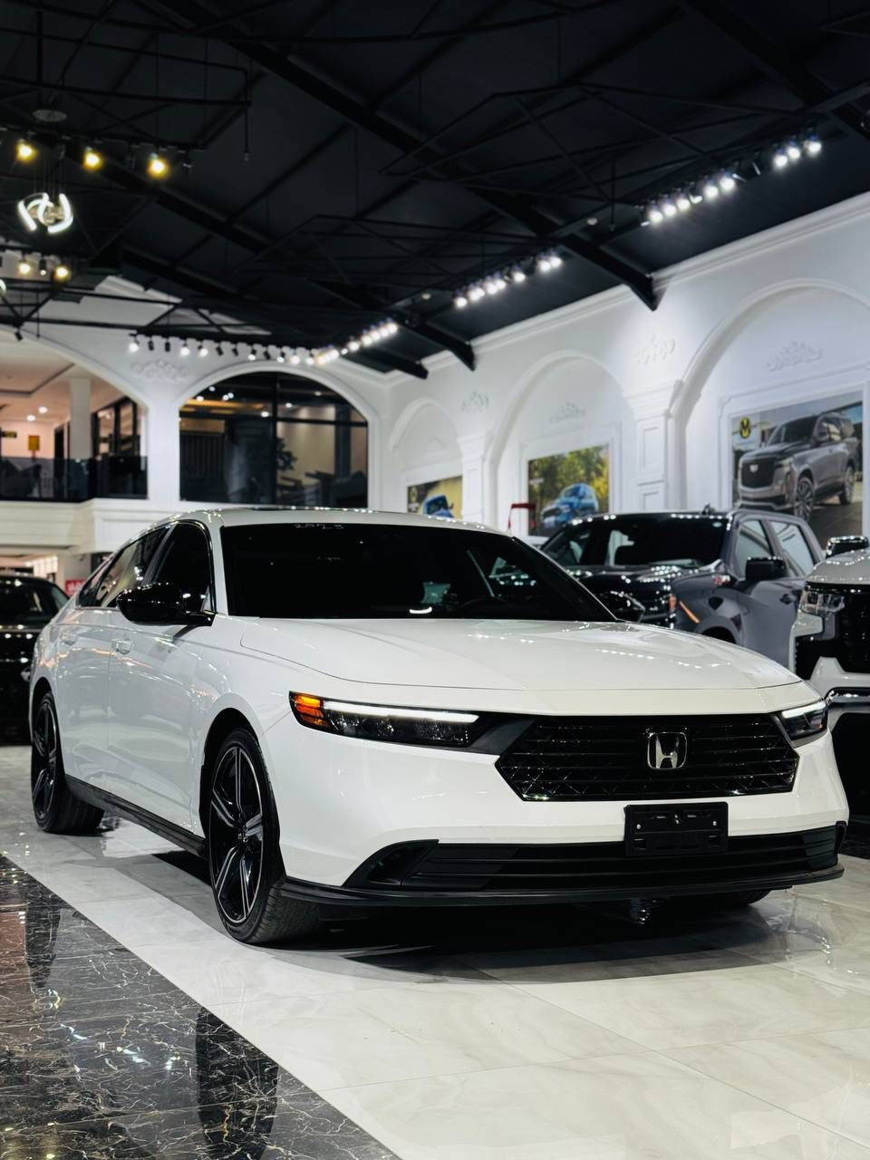 HONDA ACCOURD SPORTS-2023✅

عربى/کوردی
هوندا
أكورد, Sport, 2023
عدد الأميال : 43,000 كم
ضرر:٢باب بدل بيلادي بدون صبغ
سلندر: 4 سلندر
محرک: 2.0
السعر / خاص 🔥 

📍العنوان: اربيل  -  شركة فانسي كارس
   شارع  ١٠٠م مقابل كورد نفت

☎️-0750-511-05-05
☎️-0776-511-05-05

****************
هۆندا ئةكورد
ئەکۆرد, Sport, 2023
ماوەی ڕۆیشتن : 43,000 كم
بۆیاغ:٢ دەرگای گۆراوە بە بیلاد بێ بۆیاغ
پستۆن: 4 پستۆن
بزوێنەر: 2.0
 نرخ / خاص 🔥 

📍  ناونیشان: هەولێر کۆمپانیای فانسی کارس 
        شەقامی ١٠٠م بەرامبەر كورد نفت

☎️-0750-511-05-05
☎️-0776-511-05-05
