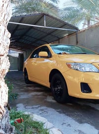 خط ٤ نفرات • جامعت حله • جامعت بابل