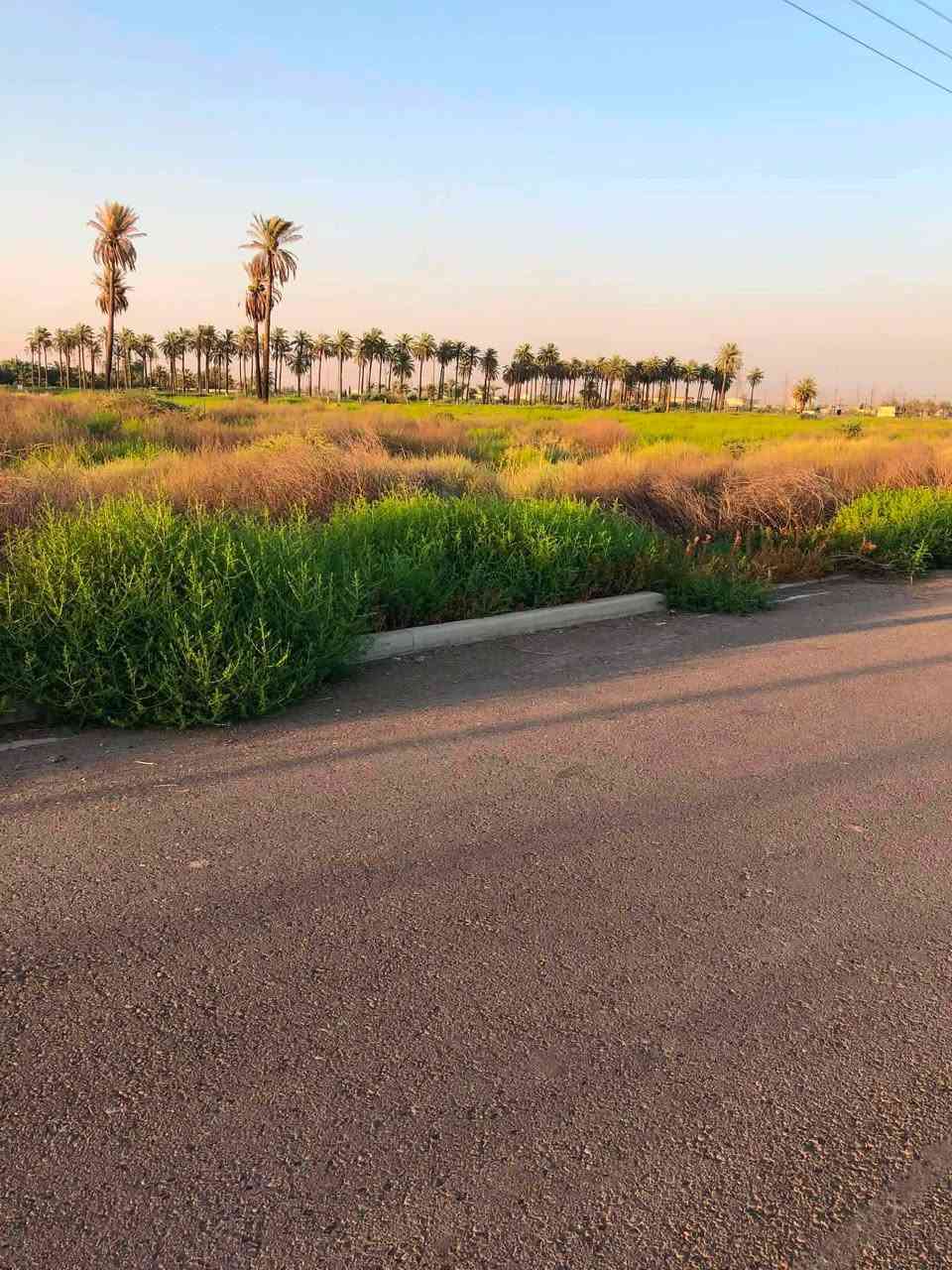 سلام عليكم 
قطعه ارض للبيع 
100 متر 
وجه 5
نزال 20
خدمات كامله ماء +كهرباء +مجاري +تبليط 
الموقع مقابيل برج الجزيره مجمع السلام 
مكتب الضرغام للعقار 
***********حسين
***********حيدر
