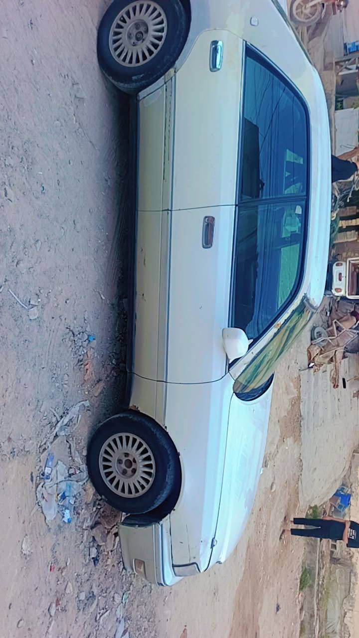 رأس الثور للبيع غماس *********** النجف, العراق
