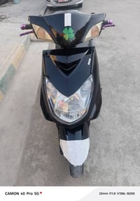 سكنس فحل • ياباني • مكفوله