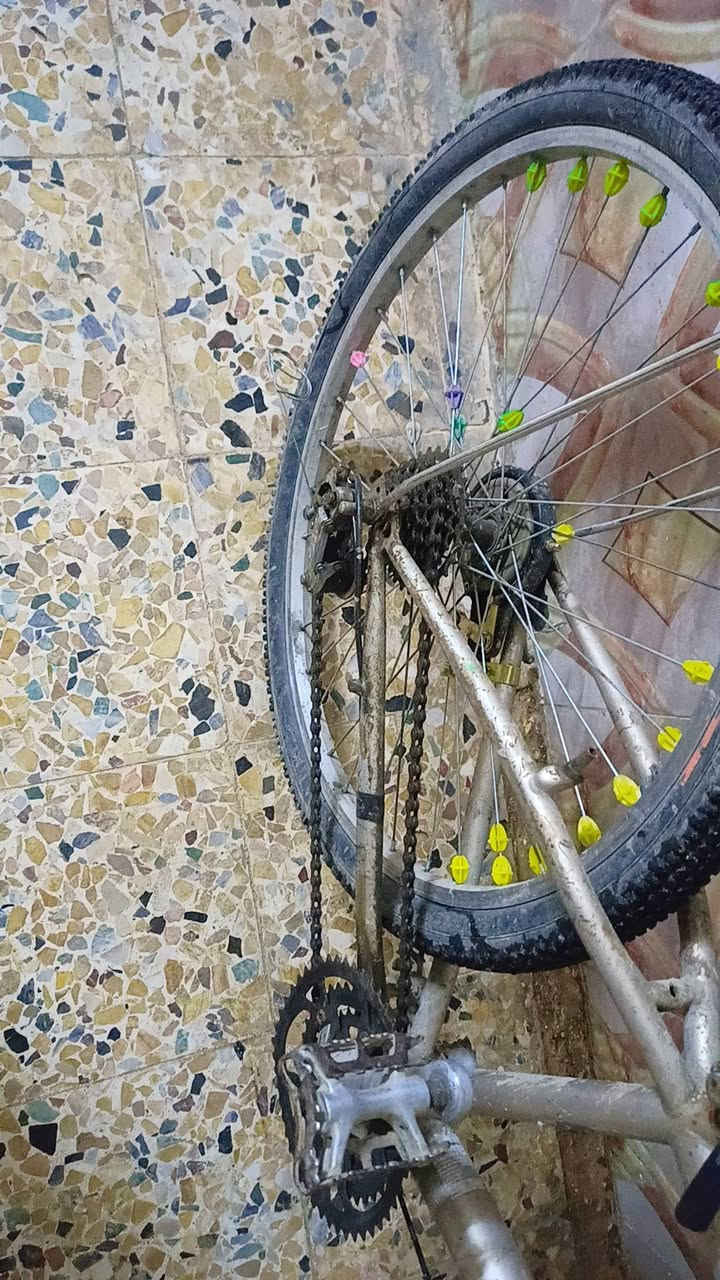 باستكل نضيف شرط كلو جديد مكان ايمن


**إذا كنت صاحب هذا الإعلان وتريد حذفه لأي سبب، رجاءا أرسل رسالة إلى الدعم الفني**