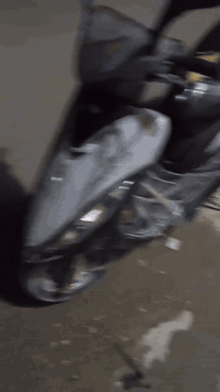 للبيع مكاني حي شرطة سعر 300 وبيه مجال للشراي كهربائيات كله شغاله نكره سلف بيه فقط لاستيك ولف شغاله نضيفه انضف من صوره


**إذا كنت صاحب هذا الإعلان وتريد حذفه لأي سبب، رجاءا أرسل رسالة إلى الدعم الفني**