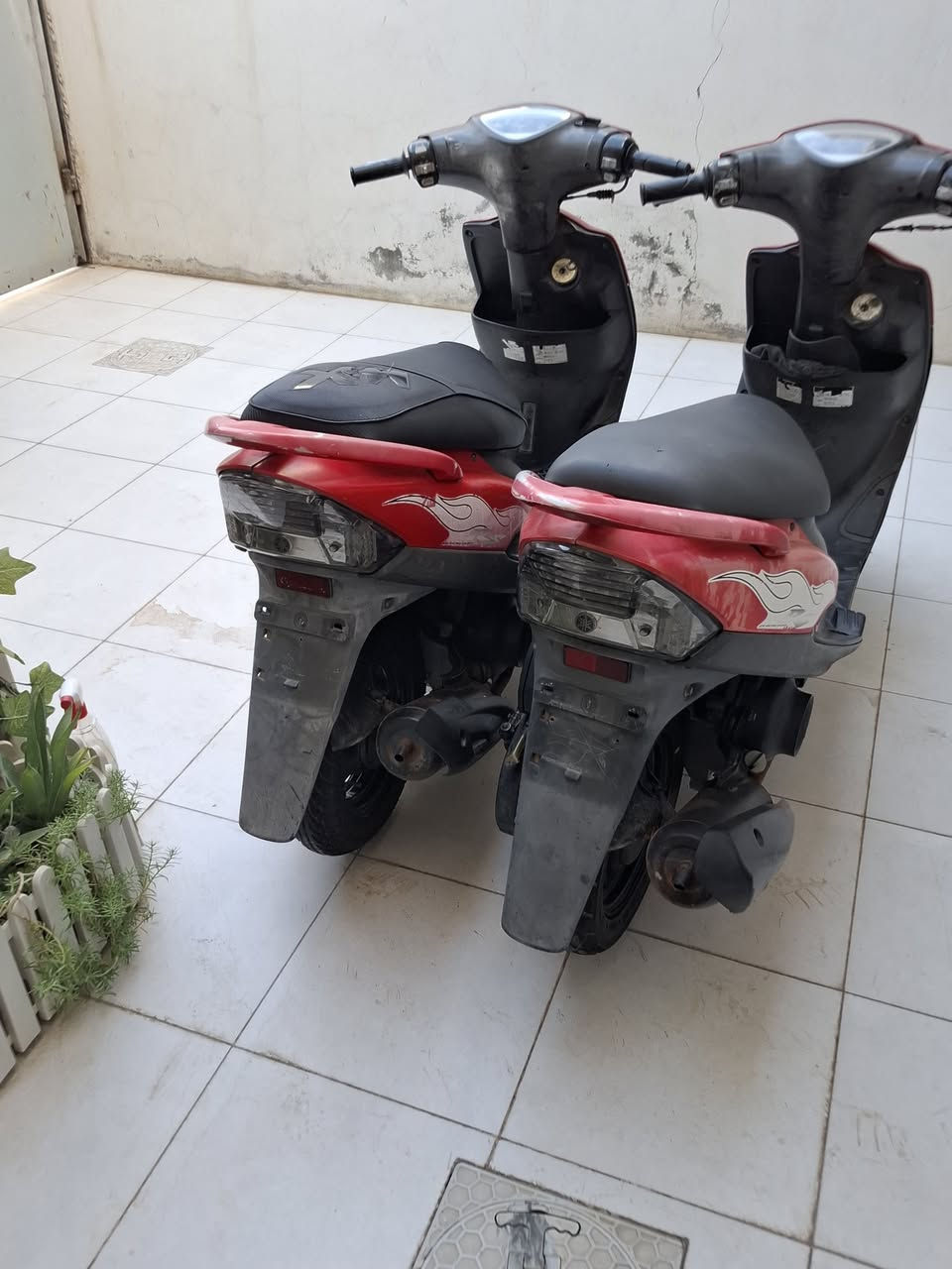 ماكي للبيع لون احمر
اول وحده بل تصوير دراجه 
السعر ٧٠٠ وبي مجال 
*********** بي واتساب 
مكان حله مركز
