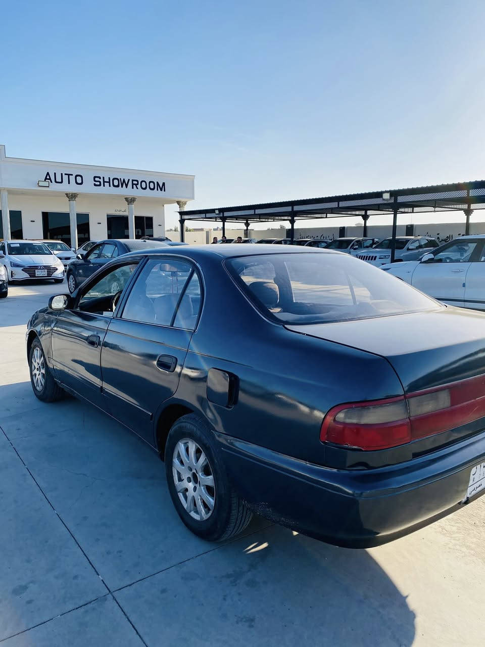 كورلا فرخ بطة رقم نينوى الماني سنوية29 شرعي بكيارة تحويل وكالة شرط  صبغ جمالية شرط سعر42 بي مجال شي قليل ***********
