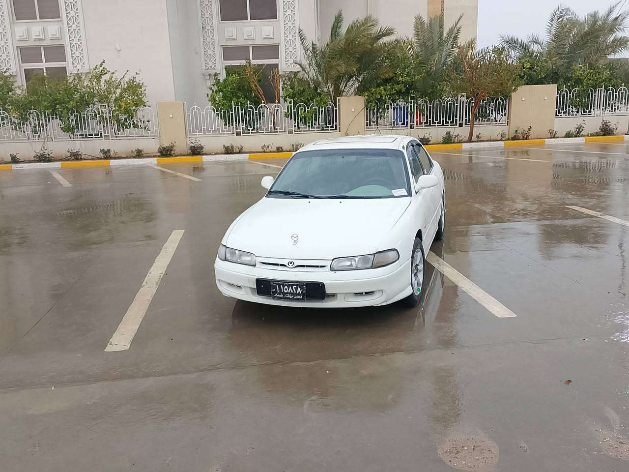 بۆفرۆشتن مازدا ماسولیا خلیجی مۆدیل94 ئاڕم پلاستیک هەولێر بەشەرتی اولیات مرور گێڕ و مەکینە بەشەرت دەعم و لێدانی نیە تەقەو ڕەقەی نیە گەرمی و کارەبای کامل مەزبوت abs پاوەر سلایت جام کارەبای قفل مەرکەزی سویچ کۆنترۆڵ چوار تایەو ویلی خاوێن دەعامی بۆ دەعامی بەشەرت بێ مەسرەف سعری33 معامەلە***********
