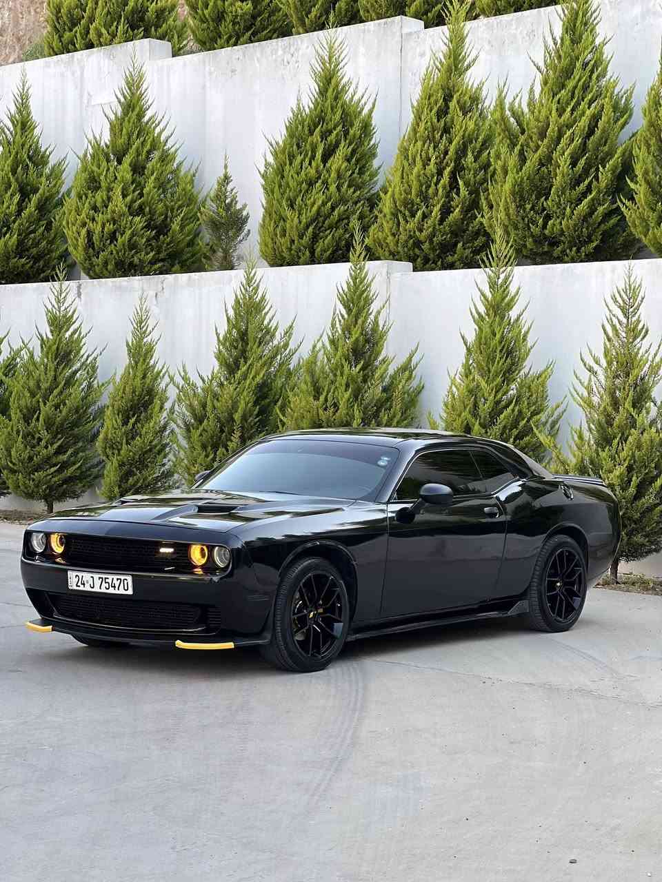 Challnger 2017  وارد خليجي
SXT V6
صبغ صفحتين بدون دواخل بدون ايرباك
شرط بونيد صندوك بدون صبغ تكم هم بدون صبغ
بجمً كبس خلفي كبس بدون دواخل نهائيه
گير محرك اكسل مكفولات بلادي
حجر البيئه بلادي
رادار جانبي
نقط عمياء
رادار خلفي 
كوشنات حضن جلد 
تبريد مركزي
سماعات سياره alpine
دعاميهSRT 
دوسات SRT
ويل  وايد بدي تو سايز تايرات جدد
سبويلر بلادي
دفيوزر
دبل كزوز
منضومه زينون
بولش و حمام جديد
لايتات تيكساس
مسويلها ادامه كامله دهن جديد
صدر امامي خلفي ١٠٠٪؜ جاهزه
هزه سنويه جدد لغايه 2031
بسمي تحويل شرط وكاله شرط
سونار موجود
مكان سياره دهوك
سعر 132 بي مجال بسيط
متواجد واتساب ***********
