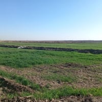 ١٥٠٠ دونم • طابو زراعي • ماء وكهرباء