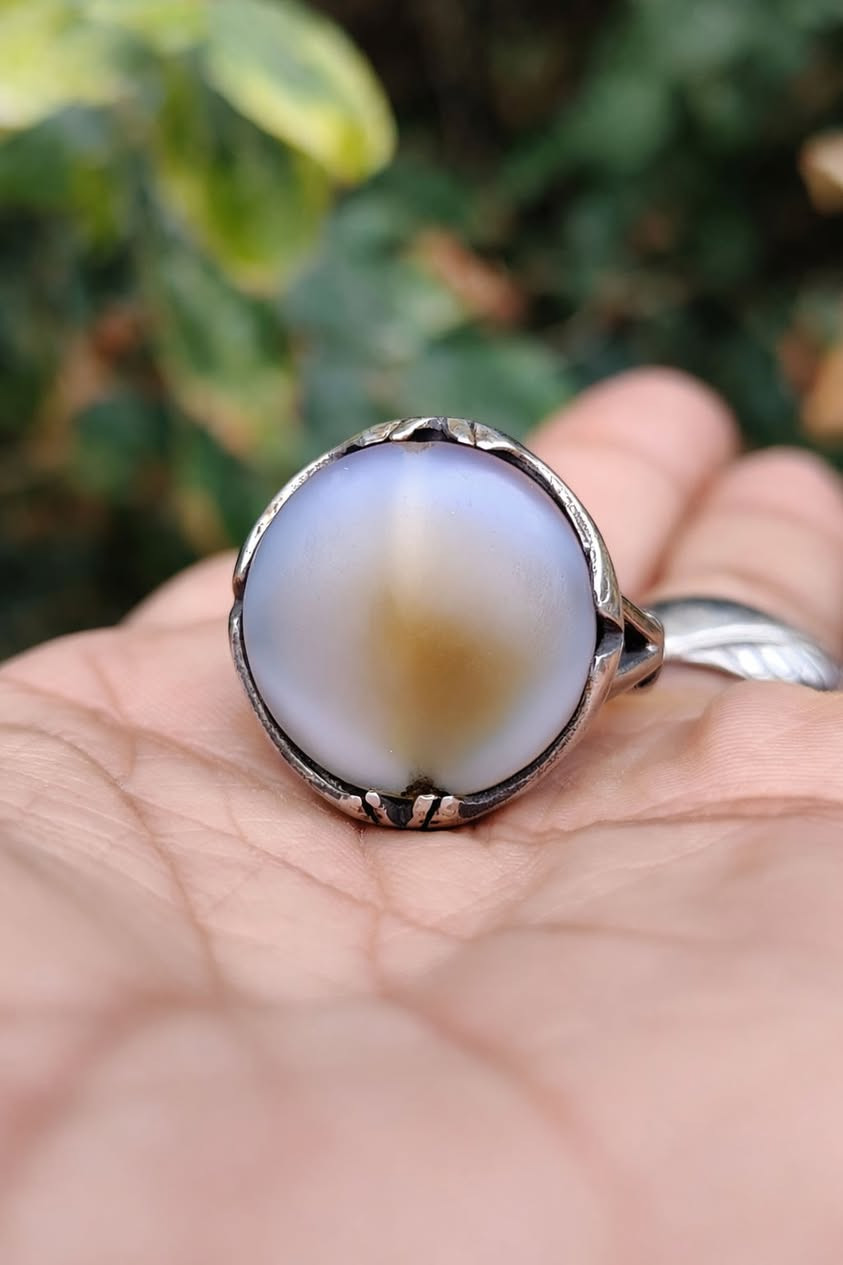 جزعه أصل ملاكط كاع ألفجر شرط طبيعي رباني مشكول


**إذا كنت صاحب هذا الإعلان وتريد حذفه لأي سبب، رجاءا أرسل رسالة إلى الدعم الفني**