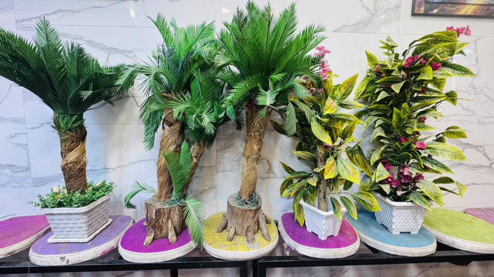 سلام عليكم  شلعه شجر كبار السعر 150وبيهن مجال العنوان كربلاء فقط ***********
