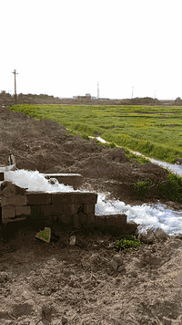 سلام عليكم ورحمة الله
زرع شعير  خير من الله للبيع 19دونم   وارض بصفها 16 دونم   للبيع زرع  مسكي 3مرات  وكمياوي مرة. خير وبركة  للاستفسار  الاتصال على الرقم ***********
